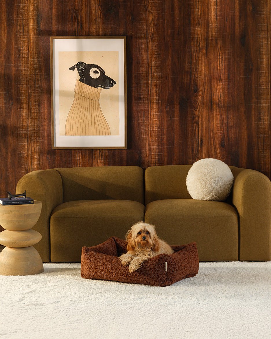 Pet Snuggle Bed (Pre-Order) - LPM Home