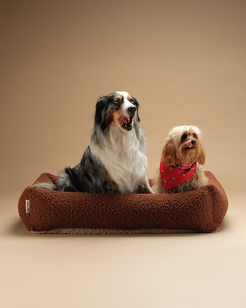 Pet Snuggle Bed (Pre-Order) - LPM Home
