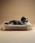 Pet Snuggle Bed (Pre-Order) - LPM Home