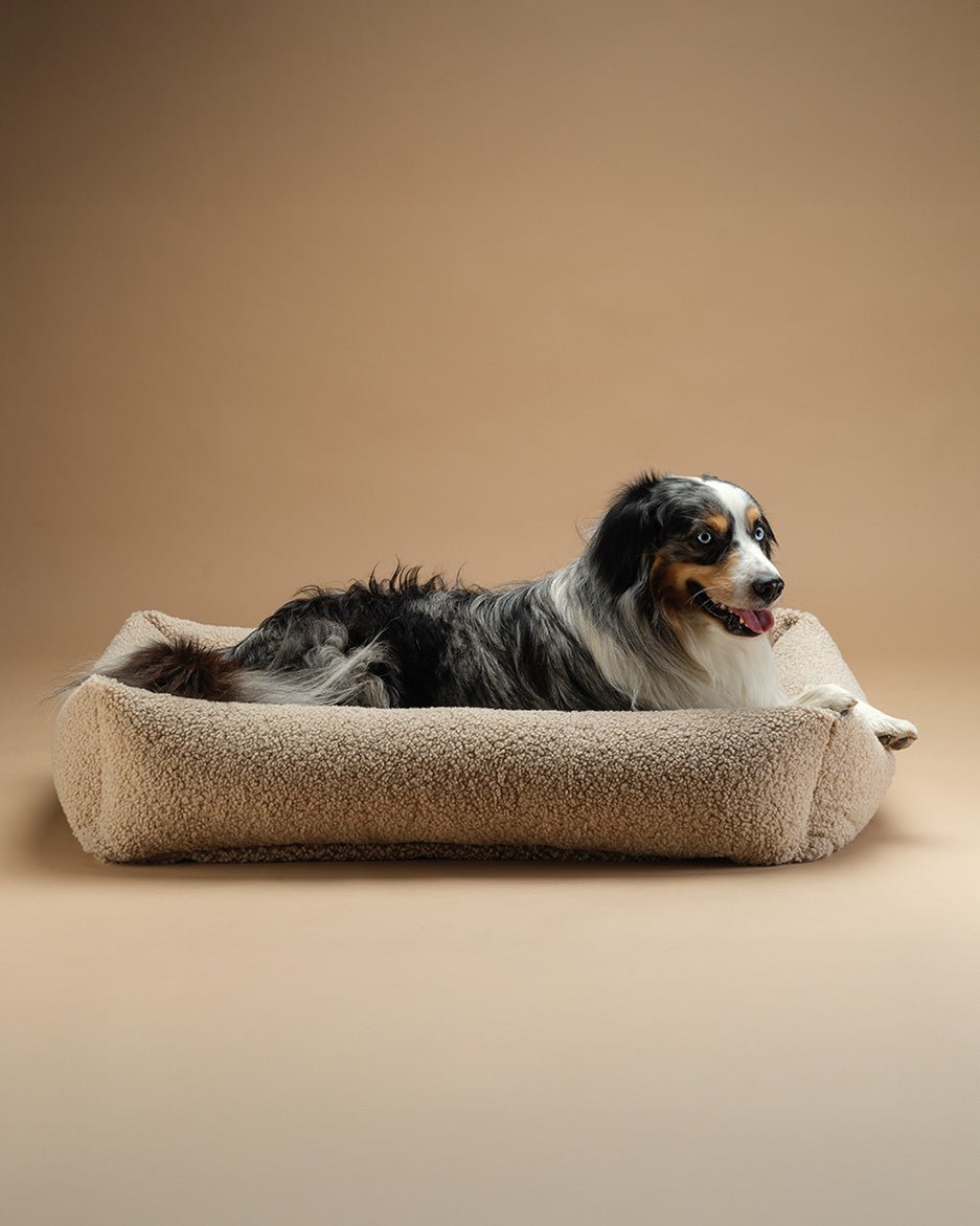 Pet Snuggle Bed (Pre-Order) - LPM Home