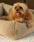 Pet Snuggle Bed (Pre-Order) - LPM Home