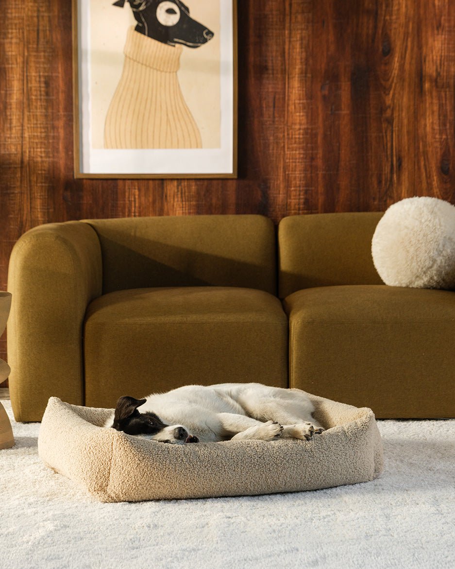 Pet Snuggle Bed (Pre-Order) - LPM Home