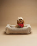 Pet Snuggle Bed (Pre-Order) - LPM Home