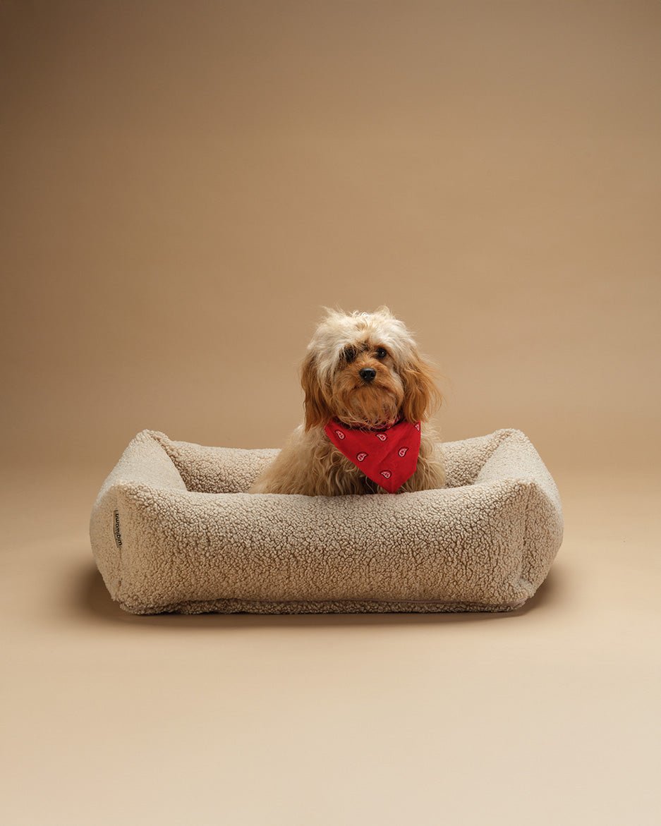 Pet Snuggle Bed (Pre-Order) - LPM Home