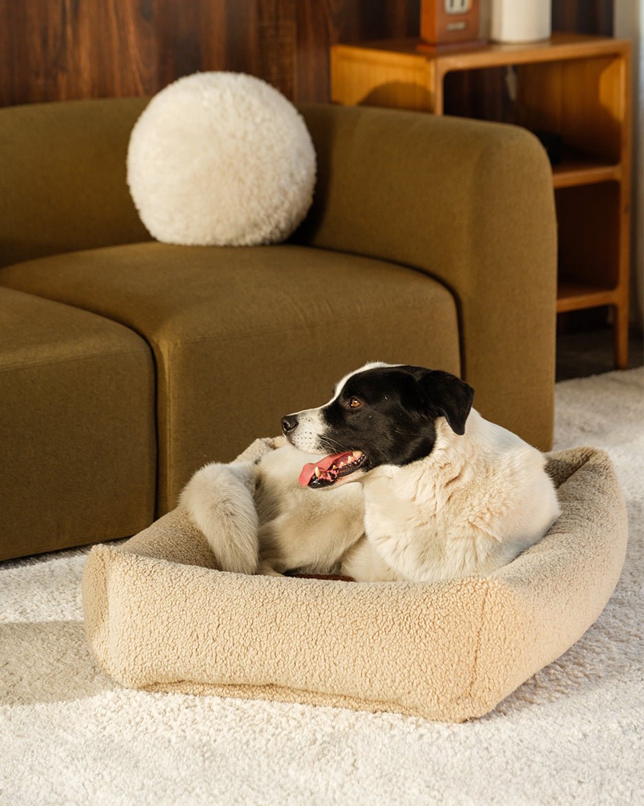 Pet Snuggle Bed (Pre-Order) - LPM Home