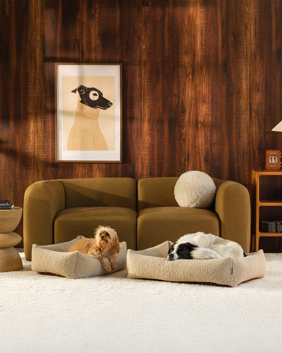 Pet Snuggle Bed (Pre-Order) - LPM Home