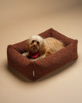 Pet Snuggle Bed (Pre-Order) - LPM Home