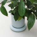 Planter Churros, Mist - Le Petit Marché Home Furniture