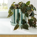 Planter Clash, Stripe - Le Petit Marché Home Furniture