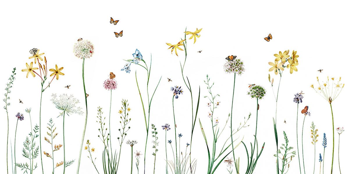 Wallpaper - Butterfly Garden (Pre - Order) - LPM Home