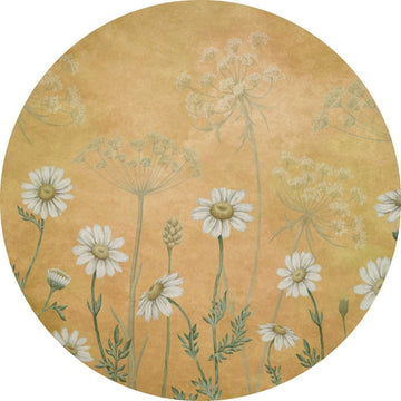 Wallpaper - Dazzling Daisies - Yellow - Circle (Pre-Order) - LPM Home