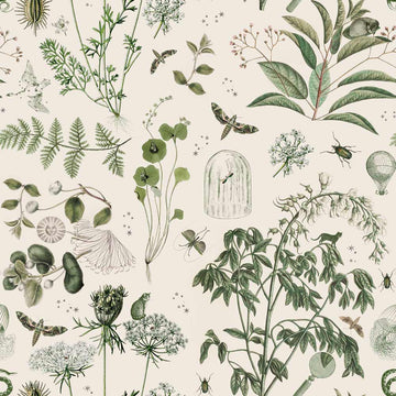 Wallpaper - Green Botanical Stories - Le Petit Marché Home Furniture