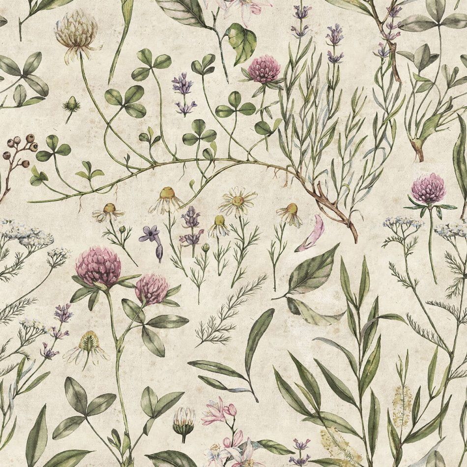 Wallpaper - Vintage Illustration - Le Petit Marché Home Furniture