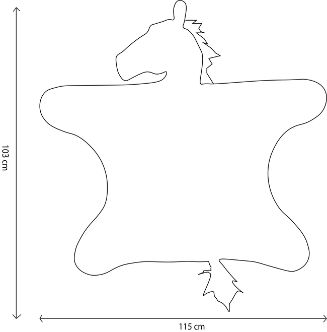 Zebra Costume - Le Petit Marché Home Furniture